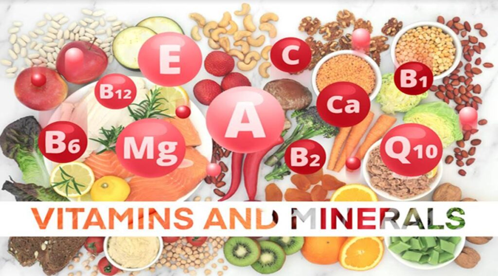 How Do Vitamins and Minerals Function in the Body? Pace 4 Success